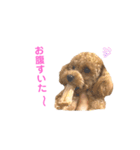 しずくだよ☆（個別スタンプ：17）