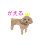 しずくだよ☆（個別スタンプ：19）