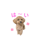 しずくだよ☆（個別スタンプ：20）