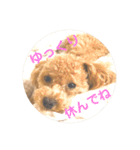 しずくだよ☆（個別スタンプ：25）