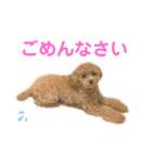 しずくだよ☆（個別スタンプ：29）