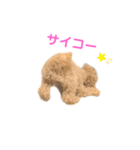 しずくだよ☆（個別スタンプ：30）
