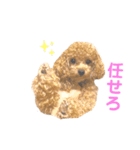 しずくだよ☆（個別スタンプ：34）