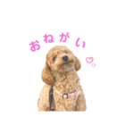 しずくだよ☆（個別スタンプ：36）