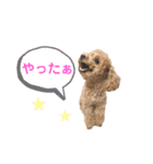 しずくだよ☆（個別スタンプ：38）