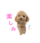 しずくだよ☆（個別スタンプ：39）