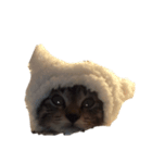 yebface（個別スタンプ：2）