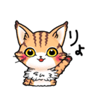 CAT.C 毎日使う 短いリアクションにゃんこ（個別スタンプ：5）