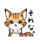 CAT.C 毎日使う 短いリアクションにゃんこ（個別スタンプ：21）