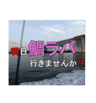 鯛Lover（個別スタンプ：1）