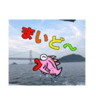 鯛Lover（個別スタンプ：3）