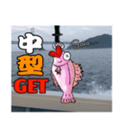鯛Lover（個別スタンプ：6）