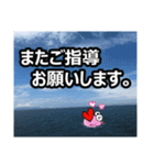 鯛Lover（個別スタンプ：24）