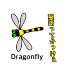 吾輩の辞書に統一感の文字はない。（個別スタンプ：31）