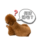 ひつじなPOLO☆（個別スタンプ：5）