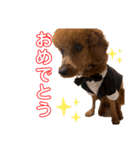 ひつじなPOLO☆（個別スタンプ：18）