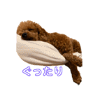 ひつじなPOLO☆（個別スタンプ：21）