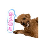 ひつじなPOLO☆（個別スタンプ：24）