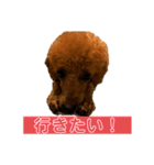 ひつじなPOLO☆（個別スタンプ：37）