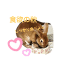 モカ＆くぅ秋version（個別スタンプ：5）