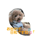 モカ＆くぅ秋version（個別スタンプ：7）