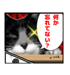 猫とイモリ（個別スタンプ：29）