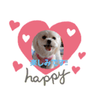 LUNA＆SEAちゃんミックスdog part4(会話編)（個別スタンプ：1）