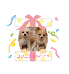 LUNA＆SEAちゃんミックスdog part4(会話編)（個別スタンプ：3）