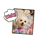 LUNA＆SEAちゃんミックスdog part4(会話編)（個別スタンプ：5）