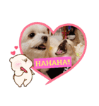 LUNA＆SEAちゃんミックスdog part4(会話編)（個別スタンプ：11）