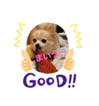 LUNA＆SEAちゃんミックスdog part4(会話編)（個別スタンプ：13）