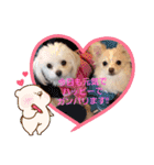 LUNA＆SEAちゃんミックスdog part4(会話編)（個別スタンプ：15）