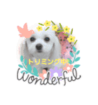 LUNA＆SEAちゃんミックスdog part4(会話編)（個別スタンプ：16）