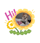 LUNA＆SEAちゃんミックスdog part4(会話編)（個別スタンプ：18）