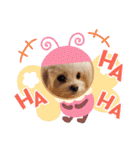 LUNA＆SEAちゃんミックスdog part4(会話編)（個別スタンプ：20）