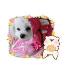 LUNA＆SEAちゃんミックスdog part4(会話編)（個別スタンプ：25）