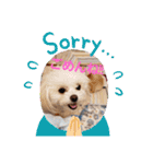 LUNA＆SEAちゃんミックスdog part4(会話編)（個別スタンプ：26）