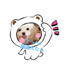 LUNA＆SEAちゃんミックスdog part4(会話編)（個別スタンプ：27）