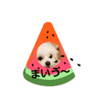 LUNA＆SEAちゃんミックスdog part4(会話編)（個別スタンプ：30）