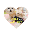 LUNA＆SEAちゃんミックスdog part4(会話編)（個別スタンプ：33）