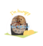 LUNA＆SEAちゃんミックスdog part4(会話編)（個別スタンプ：34）