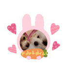 LUNA＆SEAちゃんミックスdog part4(会話編)（個別スタンプ：35）