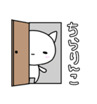 ぬこぴーの基本なスタンプ（個別スタンプ：15）