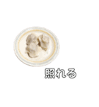 毎日使いたい餃子（個別スタンプ：6）