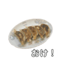 毎日使いたい餃子（個別スタンプ：11）