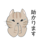 敬語で事務連絡 with CATS（個別スタンプ：12）