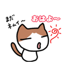 ともだち_ねこ（個別スタンプ：1）