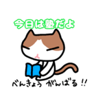 ともだち_ねこ（個別スタンプ：3）