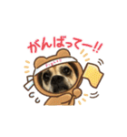 ぶさかわボクサーの麦ちゃん（個別スタンプ：21）