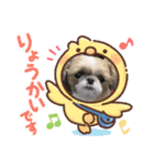 わんこかぞく（個別スタンプ：13）